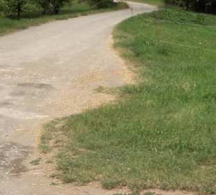 Wanderweg Ammerbucher Gigeleswegle