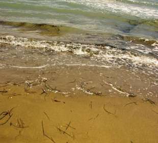 Am Strand entlang super