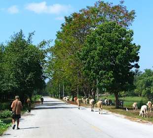 Il parco