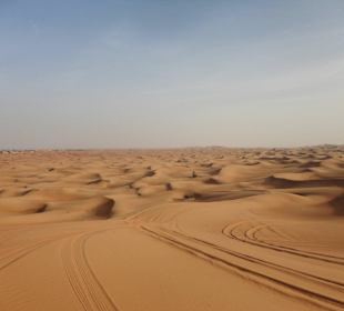 Впечатления незабываемые