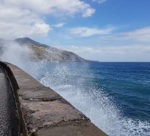 Gicht an der Uferpromenade Santa Cruz La Palma