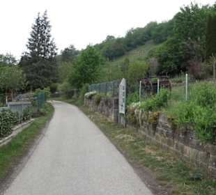 Naturinfopfad Weggental