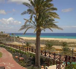 Endloses Strandvergnügen