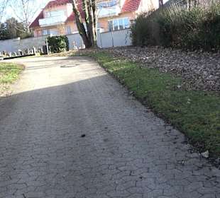 Friedhof Gniebel