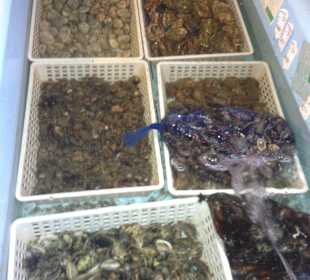 Ristorante Margherita Rimini vacanza holiday