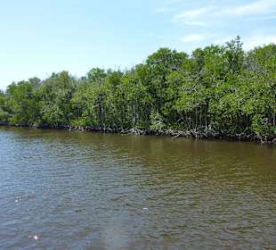 Fahrt mit dem Airboat
