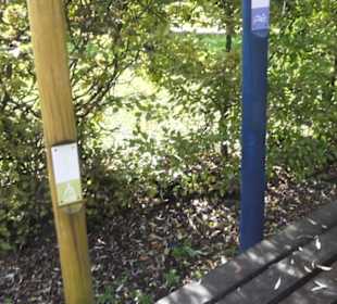 Kneipp`scher Sinnesgarten