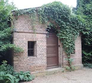 Pfaueninsel-Impression