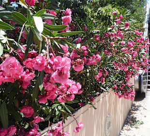 Museo Nacional de Arte de Catalunya