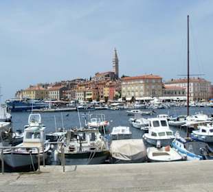 Hafen von Rovinj