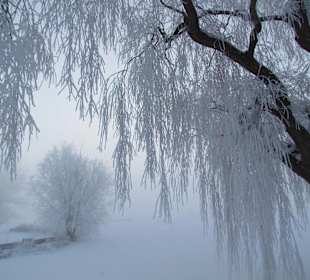 Wandern Frauenchiemsee