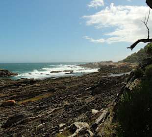 Entlang dem Waterfall-Trail