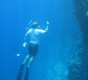 Ralf Sieben der Unterwasser-Paparazzi