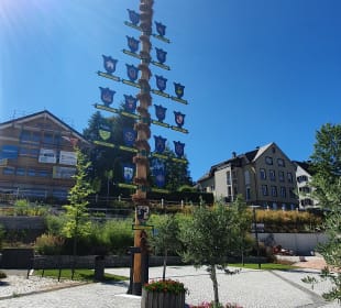 Wandern Schönwald im Schwarzwald
