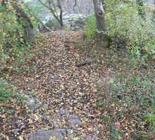 Weg zum Sattelbogen