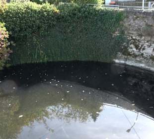 Rossbrunnen Lonsingen