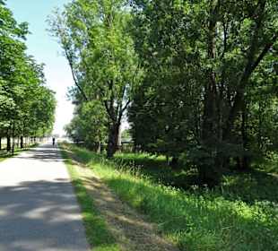 Impressionen aus dem Mangfallpark