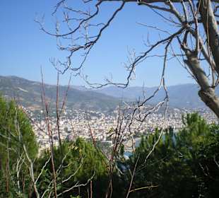 Blick auf die Oststadt