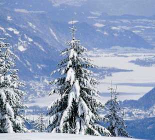 Ossiacher See im Winter