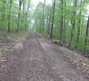 Kirschenweg