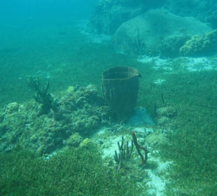 Deux Pitons / St. Lucia