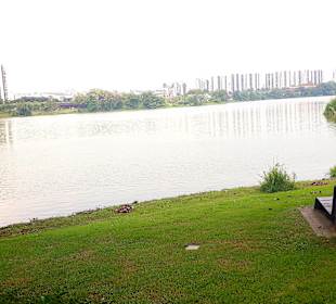 Jurong Lake und Gärten