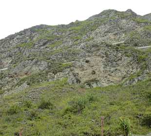 Hier muß der Zug wieder rauf