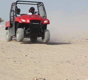 Buggy safari in Hurghada