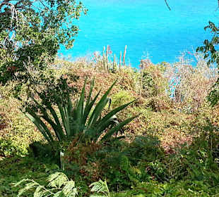 Blick auf das Meer von einem Aussichtspunkt