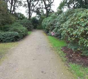 Rhododendronpark 