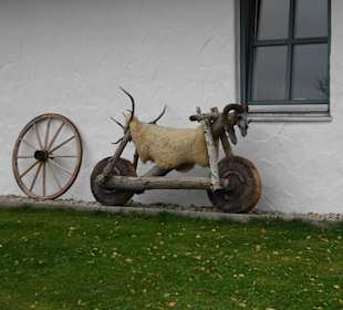 Auf dem Schaukelweg