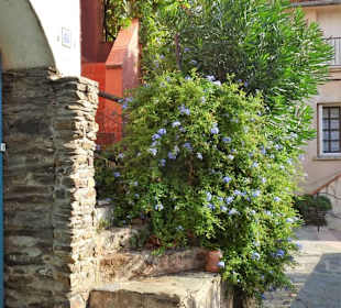 Eindrücke vom Rundgang durch die Altstadt