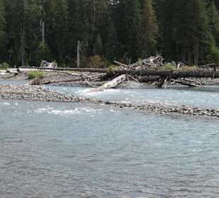 Fluss im Hoh Rain Forest
