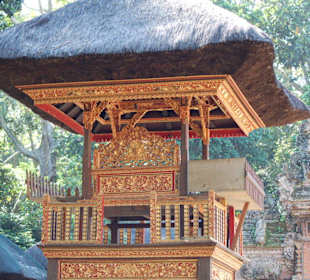 Tempel im heiligen Monkey Forest