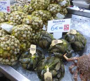 Marktbesuch in Loulé