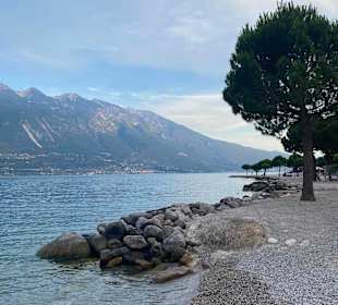 Strand Limone