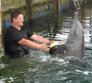 Delfintherapie mit Dauergrinsen