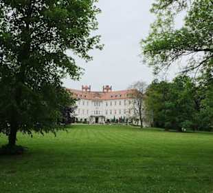 Schloss vom Park aus