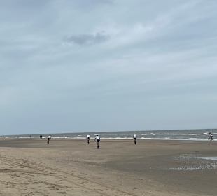 Strand Zandvoort
