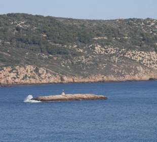 Auf die Dragonerainsel