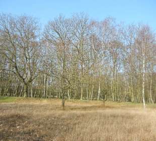 Wunderschöne Boberger Niederung