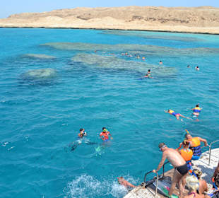 Schnorcheltour gebucht bei Hasi. Ein Muss!