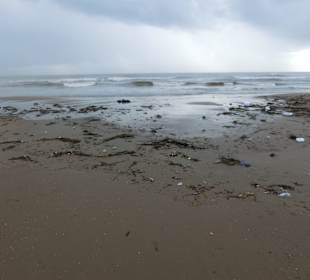 ..viel Strandgut angespült