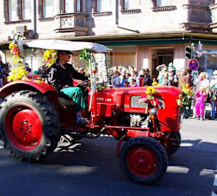 Oldtimerfreunde Zenngrund e.V. 15 Traktoren
