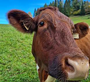 Wandern St. Johann im Pongau