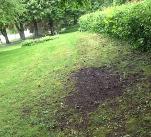 Wandern rund um den Stadtsee