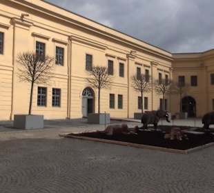 Ausstellung Eis Safari