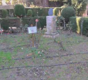 Garten der Mönche