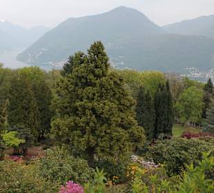 Parco San Grato