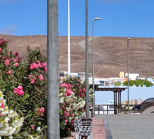 Stadtrundgang Tarajalejo